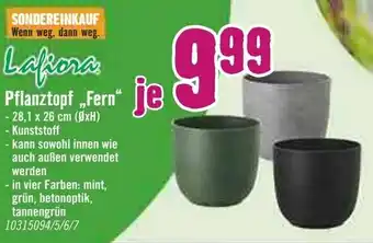 Hornbach Pflanztopf Fern Angebot