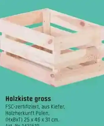 OBI Holzkiste gross Angebot