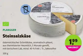 Biomarkt Plangger Steinsalzkäse 100g Angebot