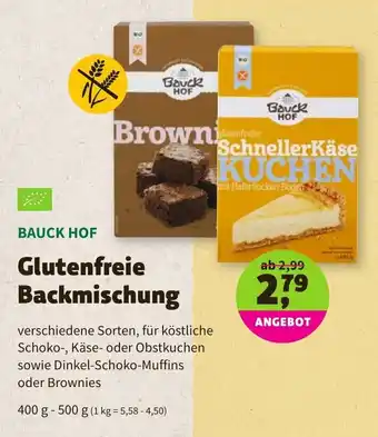 Biomarkt Bauck Hof Glutenfreie Backmischung 400-500g Angebot