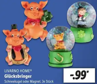 Lidl Livarno Home Glücksbringer Angebot