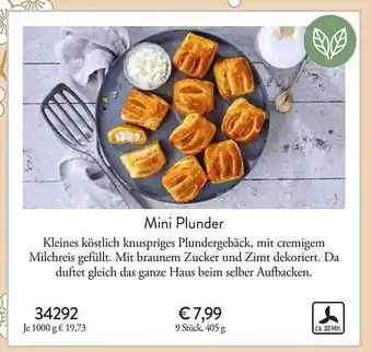 Eismann Mini plunder Angebot