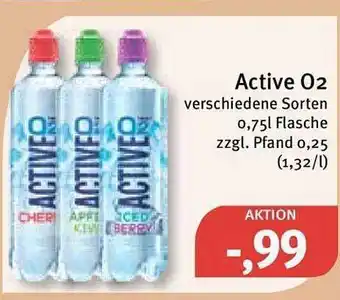 Feneberg Active o2 Angebot