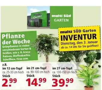 Multi Markt Multi süd garten Angebot