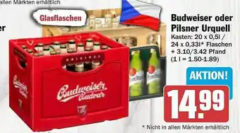 AEZ Budweiser oder pilsner urquell Angebot