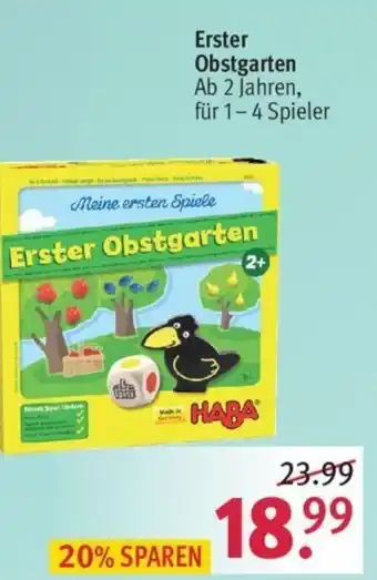 Rossmann Erster Obstgarten Angebot