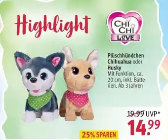 Rossmann Plüschhündchen Chihuahua oder Husky Angebot