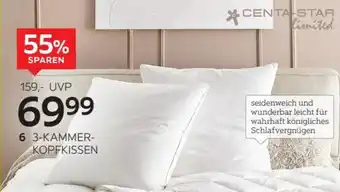 XXXLutz Centa-Star limited 3 Kammer Kopfkissen Angebot