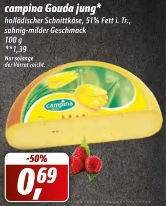 Simmel Campina Gouda jung 100 g Angebot