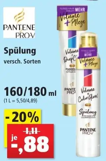 Thomas Philipps Pantene Pro-V Spülung 160/180 ml Angebot