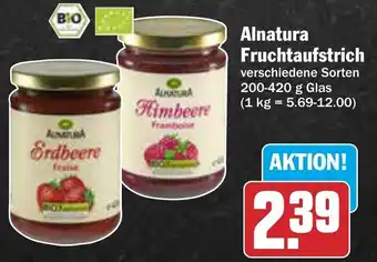 AEZ Alnatura Fruchtaufstrich 200-420 g Glas Angebot