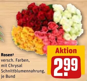 REWE Rosen Angebot