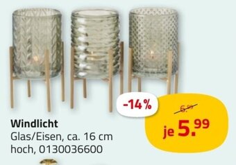 ROLLER Windlicht Angebot