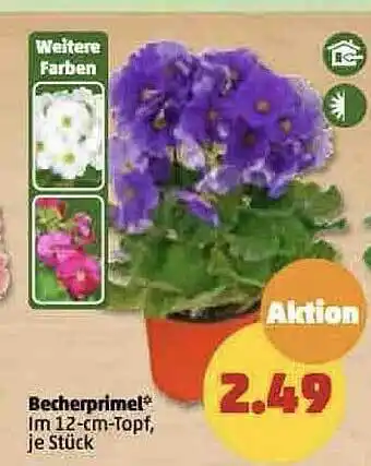 PENNY Becherprimel Angebot