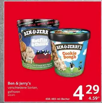 Selgros Ben & jerry's verschiedene sorten Angebot