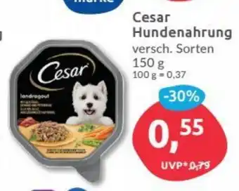 Budni Cesar Hundenahrung 150g Angebot