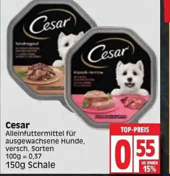 Edeka Cesar 150g Angebot