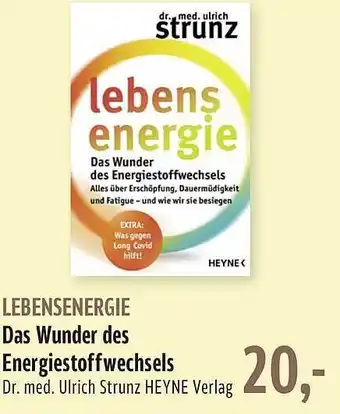 BUNGERT Lebensenergie das wunder des energiestoffwechsels Angebot