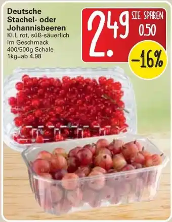 WEZ Deutsche Stachel oder Johannisbeeren 400/500g Angebot