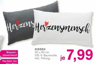 KODi Kissen Angebot