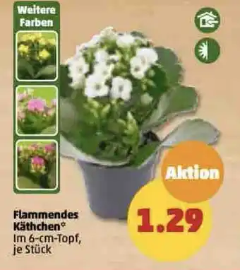 PENNY Flammendes Kathchen Angebot