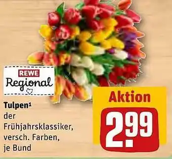 REWE Kaufpark Tulpen Angebot