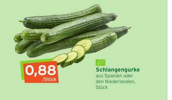 Naturgut Schlangengurke Angebot