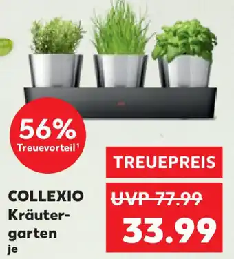 Kaufland Silit Collexio Kräutergarten Angebot