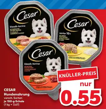 Kaufland Cesar Hundenahrung 150 g Schale Angebot