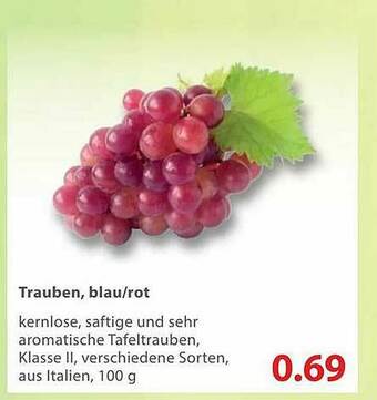 basic Trauben, Blau Oder Rot Angebot