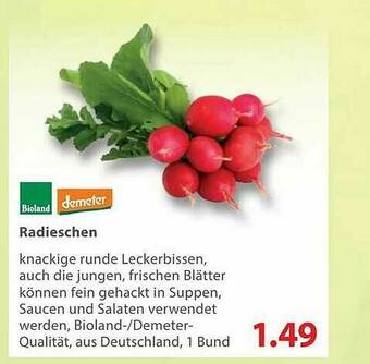 basic Bioland Demeter Radieschen Angebot