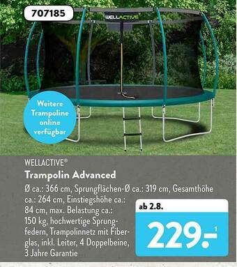 Aldi Süd Wellactive Trampolin Advanced Angebot