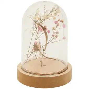 Trockenblumen in glasglocke Angebot bei Action