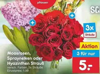 Netto Marken-Discount Moosrosen, spraynelken oder hyazinthen strauß Angebot