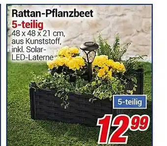 CENTERSHOP Rattan-pflanzbeet 5-teilig Angebot