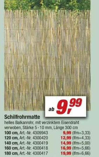 toom Baumarkt Schilfrohrmatte Angebot