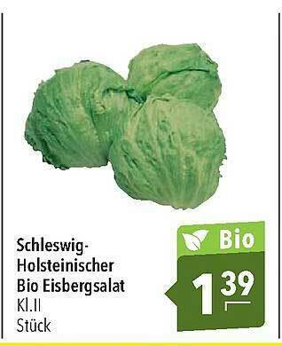 CITTI Markt Schleswig-holsteinischer Bio Eisbergsalat Angebot