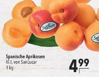 CITTI Markt Spanische Aprikosen Angebot