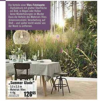 Hornbach Summer Glade Angebot