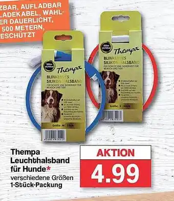 Famila Nord West Thempa leuchthalsband für hunde Angebot