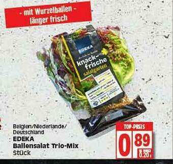 Elli Markt Belgien Niderlande Deutschland Edeka Ballensalat Trio-mix Angebot