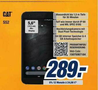 Expert Bening Cat S52 Angebot