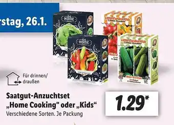 Lidl Saatgut-anzuchtset „home cooking“ oder „kids“ Angebot