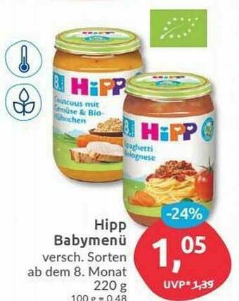 Budni Hipp Babymenü Angebot