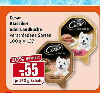 REWE Cesar Klassiker Oder Landküche Angebot