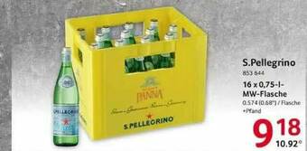 Selgros S.pellegrino Angebot