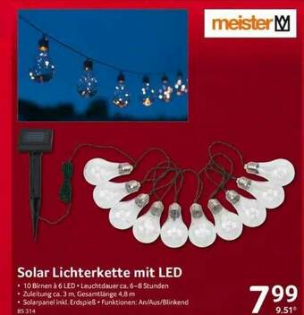 Selgros Solar Lichterkette Mit Lede Meister Angebot