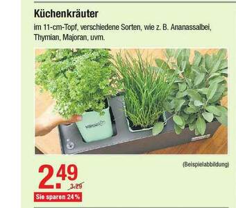 V Baumarkt Küchenkräuter Angebot