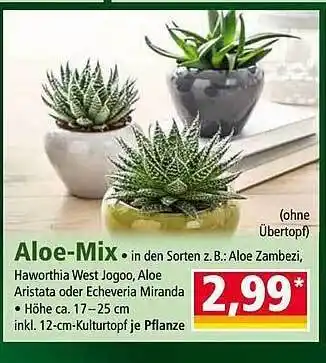 Norma Aloe-mix Angebot