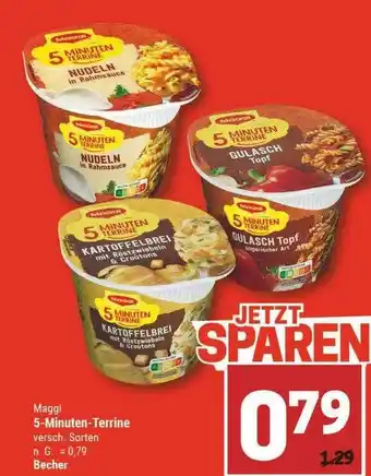 Marktkauf Maggi 5-muniten-terrine Angebot